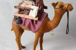 赤峰駱駝玩具專賣店電話號(hào)碼