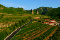 赤峰華霖酒業(yè)招聘電話號(hào)碼