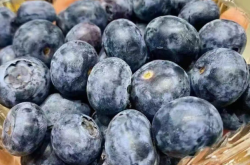 赤峰水果包裝盒加盟電話號碼