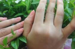 朵慕美甲赤峰店電話多少