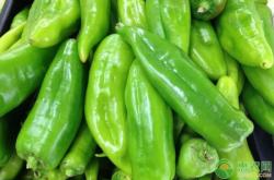 赤峰收購杏核電話號碼多少