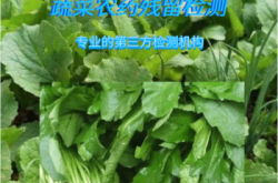 赤峰科立恩檢測(cè)公司電話號(hào)碼