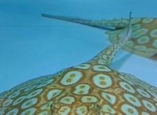 赤峰古法養(yǎng)魚(yú)基地電話號(hào)碼