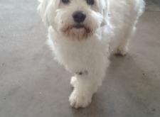 松獅美容赤峰店電話多少號