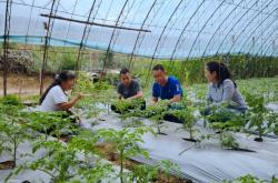 赤峰市農(nóng)監(jiān)局電話號碼