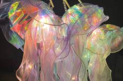 赤峰水母擺攤電話號(hào)碼查詢是多少