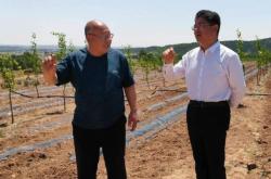 赤峰違法占地費用舉報電話是多少