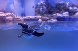 赤峰市區(qū)摩爾城地址電話號(hào)碼