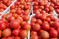 赤峰林西蔬菜代購代銷電話號碼