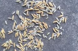 赤峰柚子店鋪地址電話查詢號碼