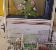 赤峰橋下寵物店電話地址查詢