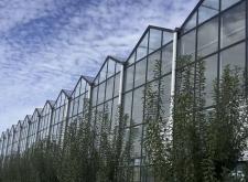 赤峰大棚施工隊(duì)招聘電話號(hào)碼