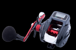 赤峰赤輪教育電話號(hào)碼查詢