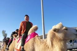 赤峰圍場裝載機(jī)出售電話號碼