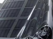 赤峰市區(qū)鸚鵡噴漆電話多少號