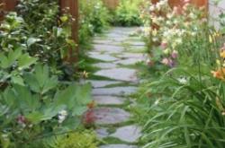 赤峰庭院鋪裝工人電話號(hào)碼查詢