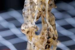 錦州到赤峰海鮮物流電話號碼