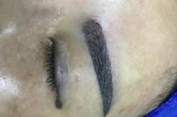 赤峰市眉毛種植基地電話號碼