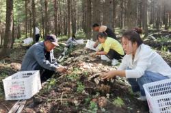 赤峰木頭回收電話地址是多少號(hào)