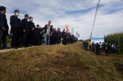 赤峰二胺化肥加工廠電話號碼