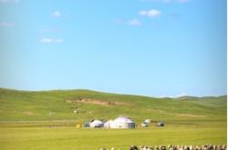 赤峰寄養(yǎng)牛羊的地方電話號碼