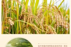 赤峰優(yōu)品招聘官網(wǎng)電話號碼