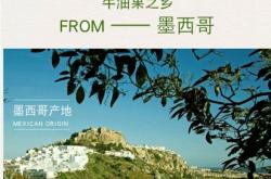 赤峰西餐凍貨批發(fā)電話號(hào)碼