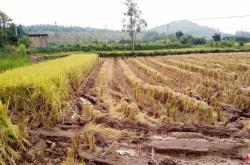 赤峰市打谷子機器電話號碼