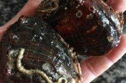 赤峰老鮑汽修電話號(hào)碼查詢