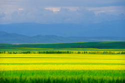 天山到赤峰機(jī)票