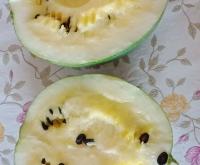 赤峰批發(fā)打瓜機廠家電話號碼