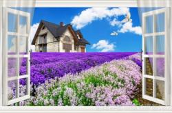 赤峰修復(fù)墻壁紙電話是多少號(hào)