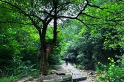 赤峰相親約會吧電話多少號