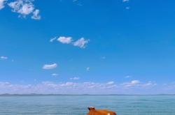 赤峰半日雜貨店電話號碼