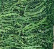 赤峰艾蒿批發(fā)電話號碼查詢