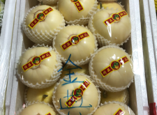 赤峰賣香瓜的電話號碼是多少