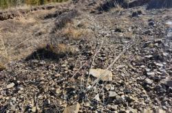 赤峰市松山區(qū)電網(wǎng)電話