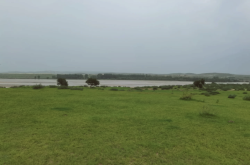 赤峰火車站托運的電話是多少