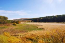 赤峰耕宇化肥銷售電話地址查詢