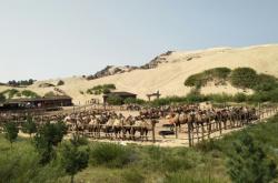 赤峰烏丹養(yǎng)殖基地電話號碼