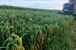 赤峰敖漢旗垃圾發(fā)電廠電話是多少