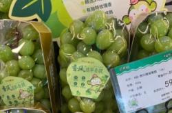 赤峰榴蓮超市電話多少號(hào)