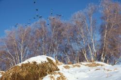 赤峰阿榮攝影師電話號(hào)碼