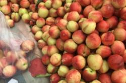 赤峰大兵水果超市電話地址查詢