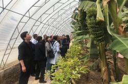 赤峰種植培育合作社電話號碼