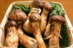 赤峰大北農(nóng)食堂電話號(hào)碼查詢(xún)