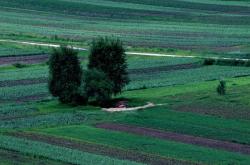 赤峰萬悅麥田電話號碼查詢