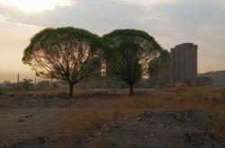 赤峰紅山區(qū)金劍社區(qū)電話號(hào)碼