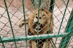 赤峰城南中路社區(qū)電話號碼是多少