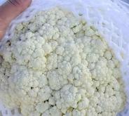 赤峰博銘超市電話號(hào)碼查詢